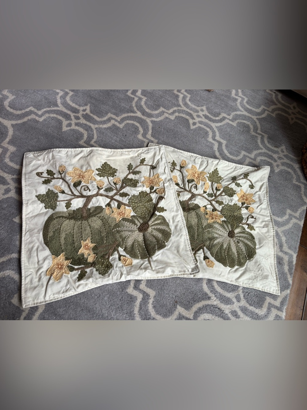 Pair of Pottery Barn 20x20 Pillow Covers for Fall